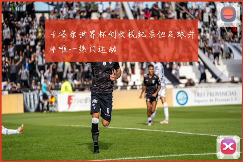 卡塔尔世界杯创收视纪录但足球并非唯一热门运动