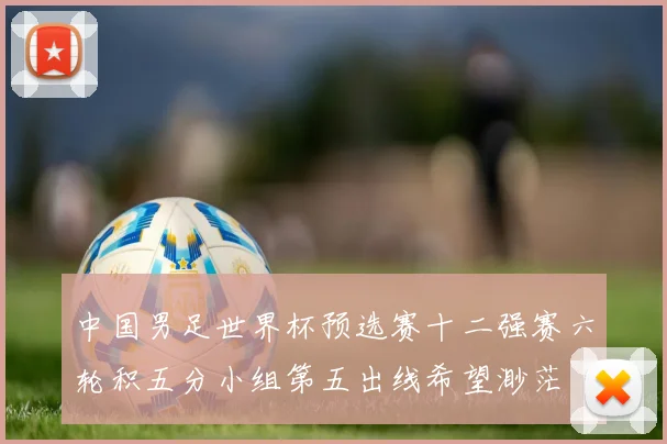 中国男足世界杯预选赛十二强赛六轮积五分小组第五出线希望渺茫