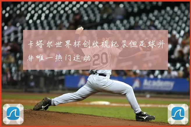 卡塔尔世界杯创收视纪录但足球并非唯一热门运动