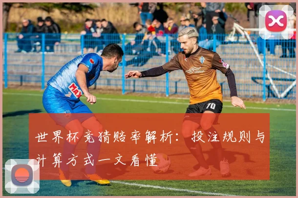 世界杯竞猜赔率解析:投注规则与计算方式一文看懂