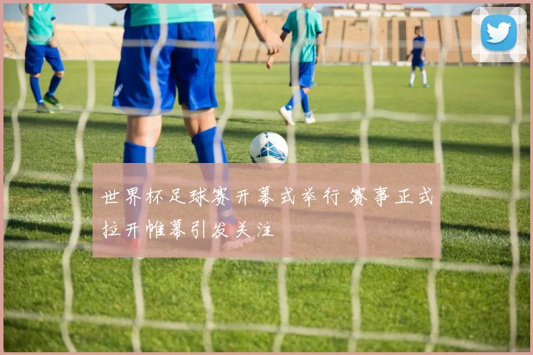 世界杯足球赛开幕式举行 赛事正式拉开帷幕引发关注