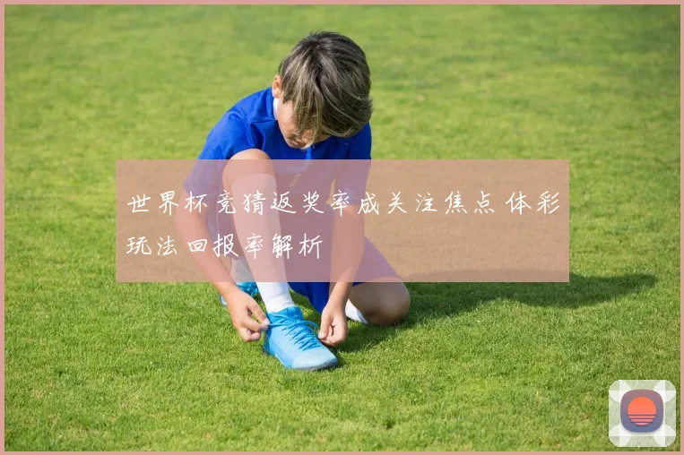 世界杯竞猜返奖率成关注焦点 体彩玩法回报率解析
