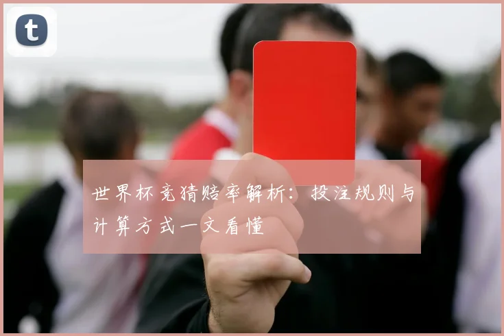 世界杯竞猜赔率解析:投注规则与计算方式一文看懂